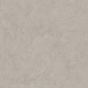 Beige limewash wallpaper with pearlescent sheen showcases muted tones and reflective highlights. The medium texture, with smooth and raised areas, adds visual movement, ideal for transitional rooms. Adhesive required, perfect for renters and decorators seeking modern elegance with subtle depth.